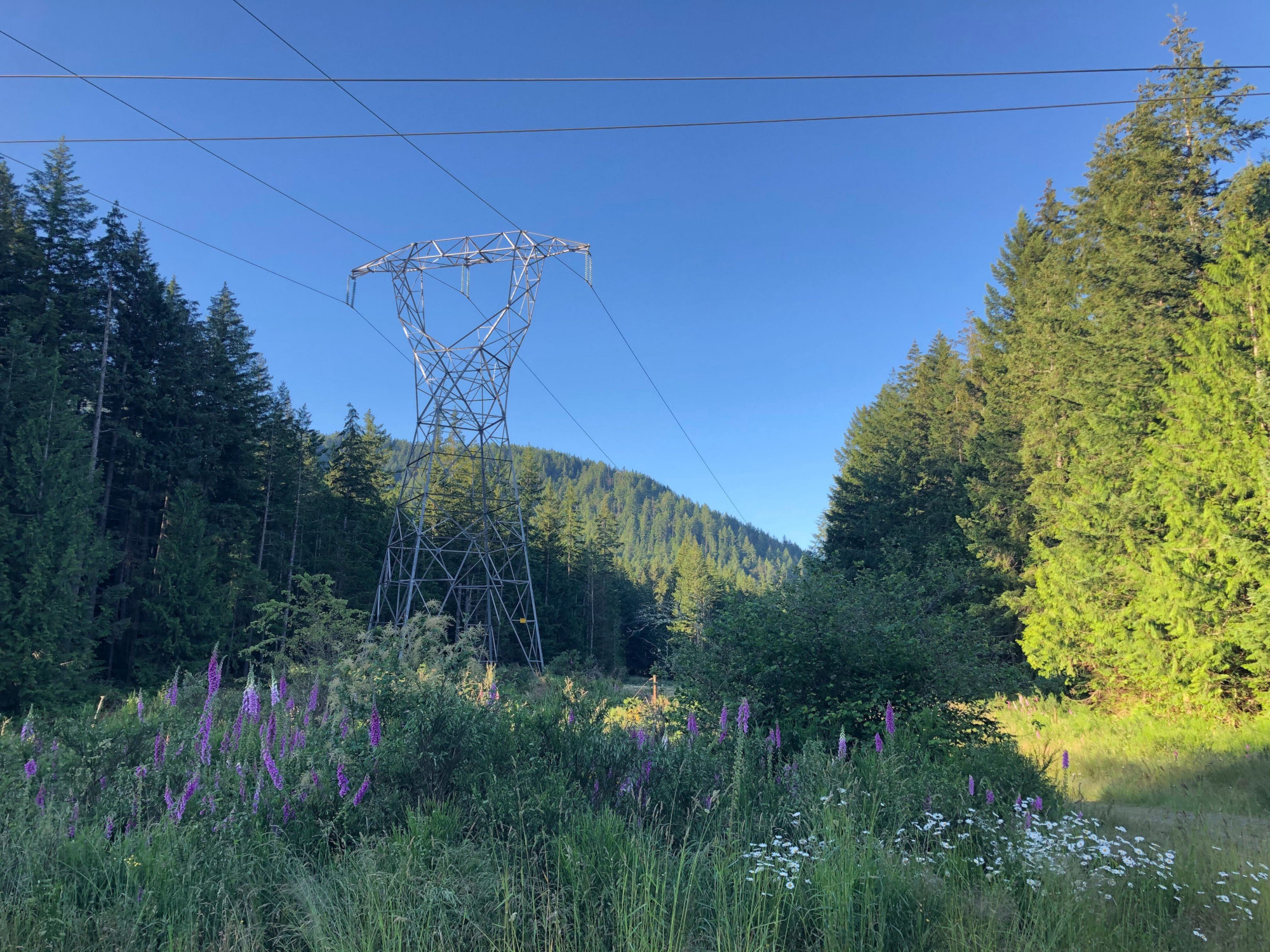 A scenic Pacific Northwest mountain