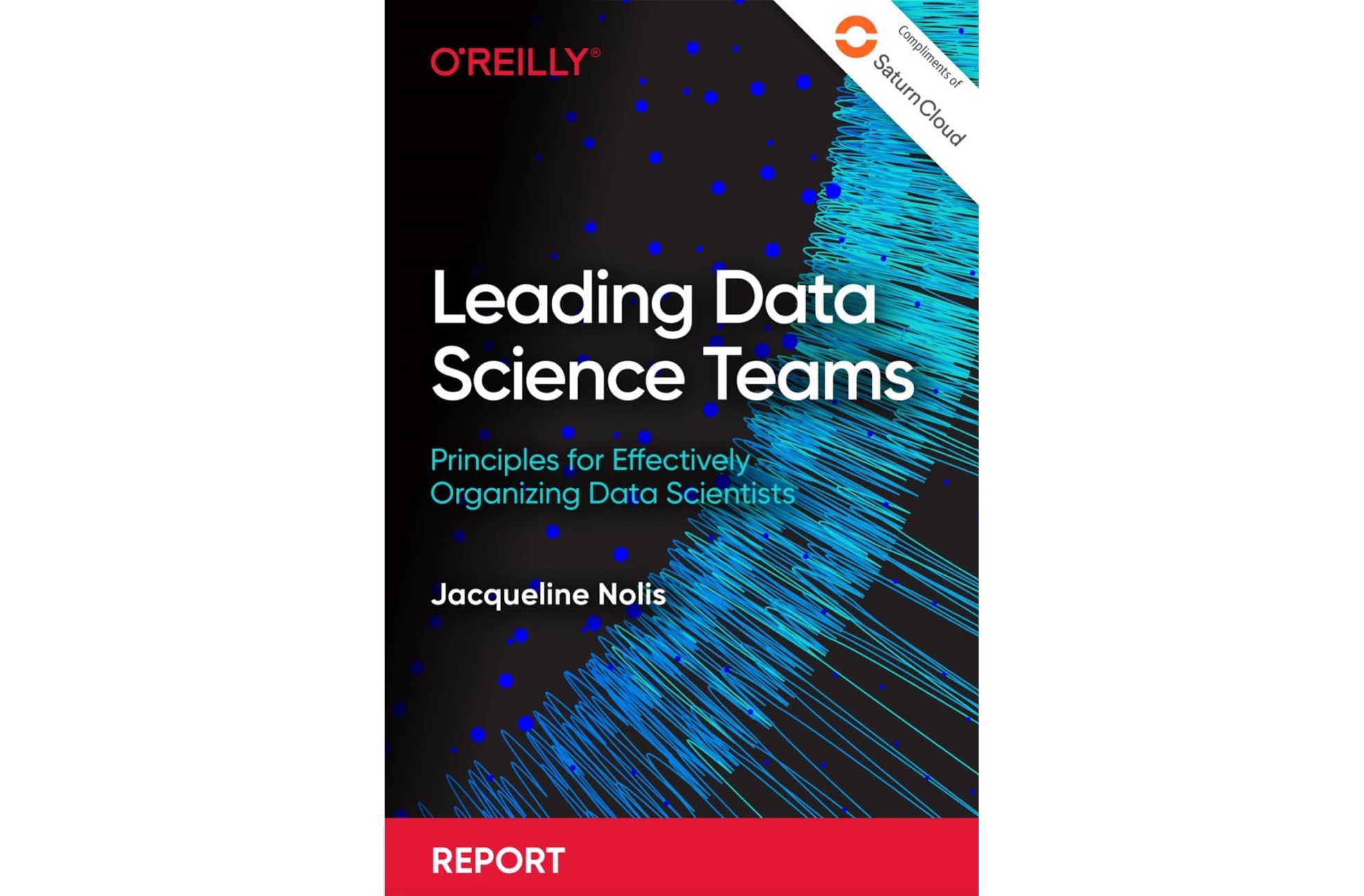 O'reilly Report: Leading Data Science Teams